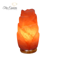 Rosa Himalaya-Salzlampe Rose, 20 cm, M&A Minerals Rainbow