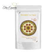 Pudră naturală de Ziziphus, 100 g, HennaFox