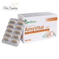 AmyVital B17, 500 mg, 60 Capsule, Zdravnitza