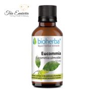 Eucomia Tinktur, 50 ml, Bioherba