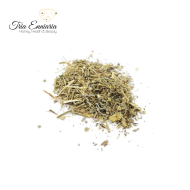 Weißer Wermutstamm, 1 kg, Tria Enniaria