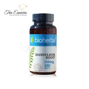 Dandelion - root, 100 capsules, Bioherba