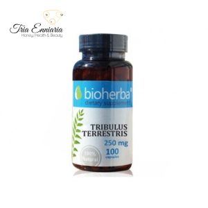 Tribulus Terrestris, man support, Bioherba, 100 capsules