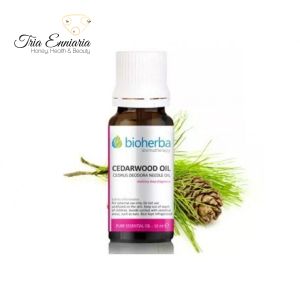 Cedar,  Pure Essential Oil, 10 ml, Bioherba