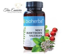 Mint, hawthorn and valerian,  250 mg, 60 capsules, Bioherba