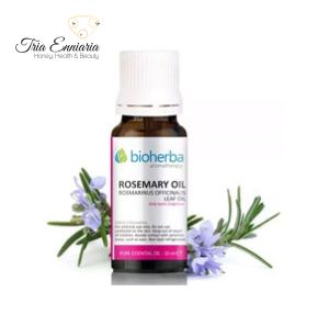 Rosemary, Pure Essential oil, 10 ml, Bioherba