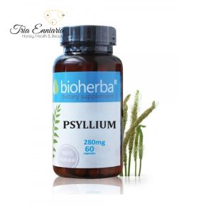 Psyllium Husk, 280 mg, 60 Capsules, Bioherba