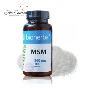 MSM - biologically active form of sulfur 560 mg, 100 capsules, Bioherba