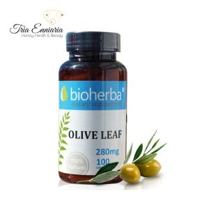 Olive Leaf, 100 capsules, 280mg, Bioherba