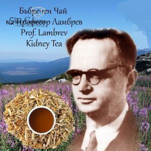 Kidney Tea By Prof. Lambrev - Used In Kidney Disease, Cystitis , 120 g