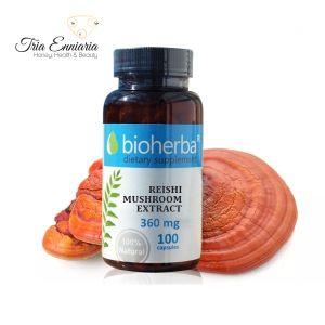 Reishi mushroom extract 360 mg, 100 capsules, Bioherba