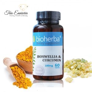 Boswellia and Curcumin, 60 capsules, Bioherba