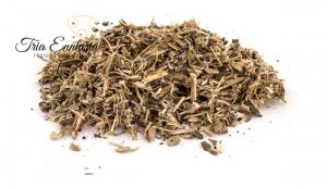 Burdock (Arctium lappa), dried root, Bilkaria, 30 g