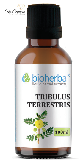 Tribulus terrestris, herbal tincture, 100 ml
