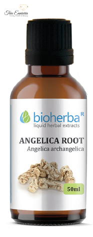 Angelica Root, Tincture 50 ml, Bioherba