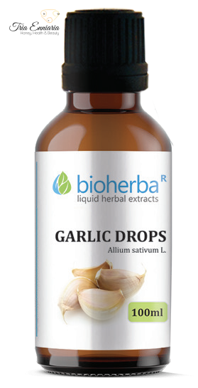 Garlic drops, herbal tincture, 100 ml