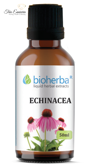 Echinacea - Herbal Tincture, Bioherba, 50 ml