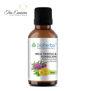 Milk thistle and Dandelion, tincture, liver and kidneys support, 50 ml, Bioherba