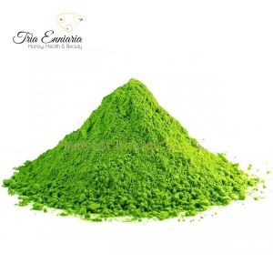 Matcha, Ground Green Tea, 100 g