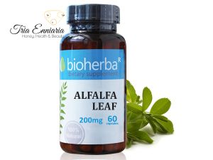 Alfalfa Leaf, 200 mg, 60 Capsules, Bioherba