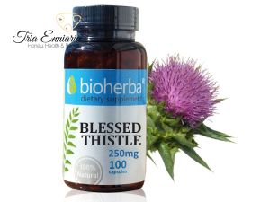 Blessed Thistle, 250 mg, 100 Capsules, Bioherba