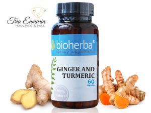 Ginger And Turmeric, 300 mg, 60 Capsules, Bioherba 