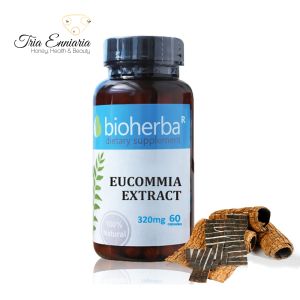 Eucomia Еxtract, 320 mg, 60 Capsules, Bioherba 