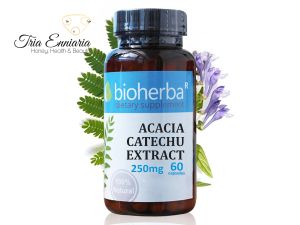 Acacia Catechu Extract, 250 mg, 60 Capsules, Bioherba