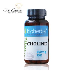 Choline, 350 mg, 100 Capsules, Bioherba