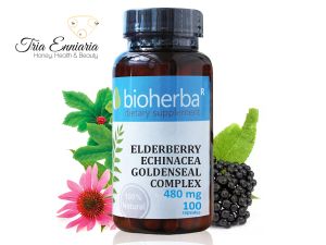Elderberry, Echinacea, Hydrastis, 480 mg, 100 Capsules, Bioherba