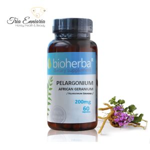 Pelargonium, 200 mg, 60 Capsules, Bioherba