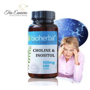 Choline And Inositol, 100 Capsules, Bioherba