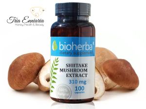 Shiitake Mushroom Extract, 310 mg, 100 Capsules, Bioherba