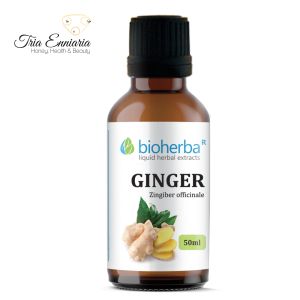 Ginger Tincture, 50 ml, Bioherba