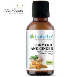 Turmeric Аnd Ginger Тincture, 50 ml, Bioherba