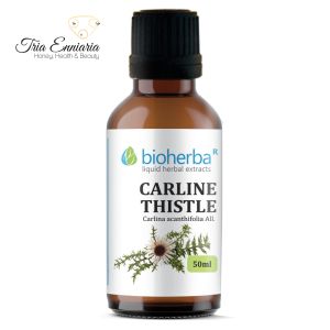 Carline Thistle Root Tincture, 50 ml, Bioherba