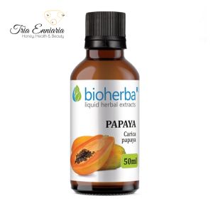 Papaya Fruit Tincture, 50 ml, Bioherba