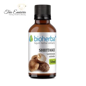 Shiitake Mushroom Tincture, 50 ml, Bioherba