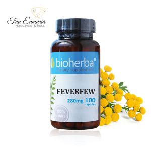Feverfew, 280 mg, 100 Capsules, Bioherba