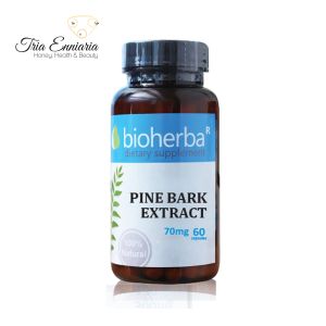Pine Bark Extract, 70 mg, 60 Capsules, Bioherba