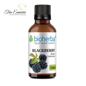 Blackberrys  Tincture, 50 ml, Bioherba