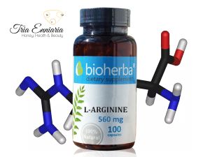 L-Arginine, 560 mg, 100 Capsules, Bioherba
