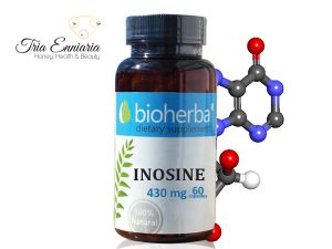 Inosine, 430 mg, 60 Capsules, Bioherba