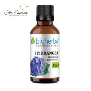 Hydrangea Тincture, 50 ml, Bioherba