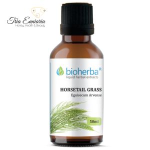 Horsetail Grass Tincture, 50 ml, Bioherba