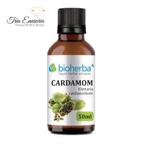Cardamom Tincture, 50 ml, Bioherba