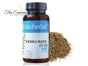 Yerba Mate, 500 mg, 100 Capsules, Bioherba