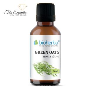 Green Oats Tincture, 50 ml, Bioherba