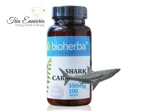 Shark Cartilage, 550 mg, 100 Capsules, Bioherba