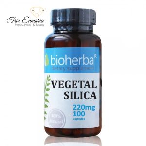 Vegetal Silica, 220 mg, 100 Capsules, Bioherba